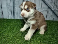 processed/b261adb2-f2d0-4d08-b959-3193222ef0e6/listing/d670f189-45d5-491e-9a85-64cbd6baf041/d0da555b-5e7d-4942-8f69-ed52718db073