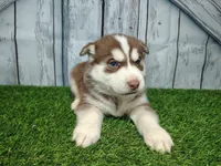 processed/b261adb2-f2d0-4d08-b959-3193222ef0e6/listing/d670f189-45d5-491e-9a85-64cbd6baf041/e60ef9cc-44df-402b-8365-54b8f1813585