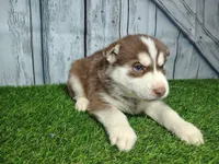 processed/b261adb2-f2d0-4d08-b959-3193222ef0e6/listing/d670f189-45d5-491e-9a85-64cbd6baf041/e65be2c9-8fdc-4c41-b9d2-084cb591cb3b