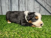 processed/b261adb2-f2d0-4d08-b959-3193222ef0e6/listing/dbad3d84-c479-44d8-84b4-870332425ad6/78cd5b4b-dfa4-446a-a8a9-0bd8228374f3