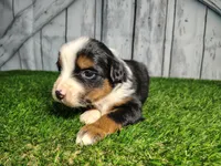 processed/b261adb2-f2d0-4d08-b959-3193222ef0e6/listing/dbad3d84-c479-44d8-84b4-870332425ad6/f78a61fa-848b-45b8-8770-2b80cc5a44aa