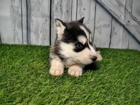 processed/b261adb2-f2d0-4d08-b959-3193222ef0e6/listing/eadad87e-d21c-408d-a3af-3fac5f98157f/9d88f489-ec6c-4e73-8d19-04bd986b525f