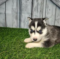 processed/b261adb2-f2d0-4d08-b959-3193222ef0e6/listing/eadad87e-d21c-408d-a3af-3fac5f98157f/eeabfe89-b32e-4119-bd5d-078512c5551b