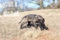 processed/b26a3aac-e982-4ea2-8f4c-5bacba689272/listing/46605f85-74f4-4421-a1c8-27aba37d410d/109f1eed-22bf-4cfb-b5d6-3dafb4ac7b06