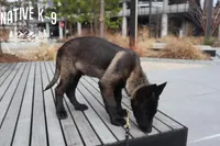 processed/b26a3aac-e982-4ea2-8f4c-5bacba689272/listing/46605f85-74f4-4421-a1c8-27aba37d410d/38a84a00-cb53-4d0f-a732-9476caeebf2c