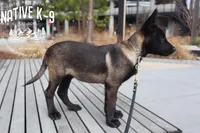 processed/b26a3aac-e982-4ea2-8f4c-5bacba689272/listing/46605f85-74f4-4421-a1c8-27aba37d410d/4c80728f-7159-405c-a69e-bb94398506bc