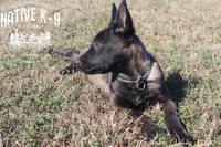 processed/b26a3aac-e982-4ea2-8f4c-5bacba689272/listing/46605f85-74f4-4421-a1c8-27aba37d410d/7d0257f9-7889-4826-97c5-44bab7bd8e2c