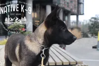 processed/b26a3aac-e982-4ea2-8f4c-5bacba689272/listing/46605f85-74f4-4421-a1c8-27aba37d410d/de1b3753-38e0-451b-af78-d079c5eafda2