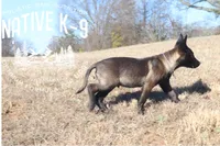 processed/b26a3aac-e982-4ea2-8f4c-5bacba689272/listing/46605f85-74f4-4421-a1c8-27aba37d410d/f4fd706a-1473-4ac4-bba9-6cc9d859caae