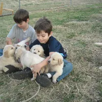 processed/b273cad6-38c4-44d9-a9c3-2a513c64d050/facility/1ff634a2-0187-4977-9fbc-26e694c0397c