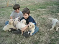 processed/b273cad6-38c4-44d9-a9c3-2a513c64d050/facility/1ff634a2-0187-4977-9fbc-26e694c0397c