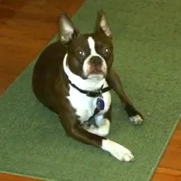 processed/b273cad6-38c4-44d9-a9c3-2a513c64d050/facility/3528415d-0b57-46ad-b49c-f69b01dedb8a