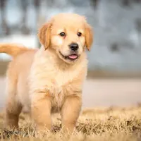 processed/b273cad6-38c4-44d9-a9c3-2a513c64d050/facility/3b3c6cfd-248b-4f99-a594-43f48eceab33