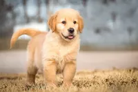 processed/b273cad6-38c4-44d9-a9c3-2a513c64d050/facility/3b3c6cfd-248b-4f99-a594-43f48eceab33