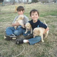 processed/b273cad6-38c4-44d9-a9c3-2a513c64d050/facility/5d90ba25-cdb1-41aa-b03d-6433ee2bffe6