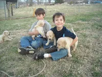 processed/b273cad6-38c4-44d9-a9c3-2a513c64d050/facility/5d90ba25-cdb1-41aa-b03d-6433ee2bffe6