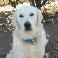 processed/b273cad6-38c4-44d9-a9c3-2a513c64d050/facility/6bdc7283-681e-4725-ada8-aeedb3aa1bea