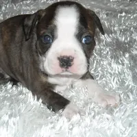 processed/b273cad6-38c4-44d9-a9c3-2a513c64d050/facility/cb0bb21c-a7a1-484a-94d8-38f4877b6c4e