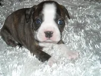 processed/b273cad6-38c4-44d9-a9c3-2a513c64d050/facility/cb0bb21c-a7a1-484a-94d8-38f4877b6c4e