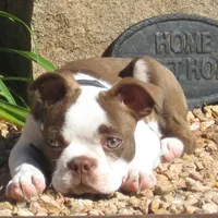 processed/b273cad6-38c4-44d9-a9c3-2a513c64d050/facility/e43172e6-895a-4a64-bea3-a2ed1b09e8be