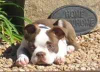 processed/b273cad6-38c4-44d9-a9c3-2a513c64d050/facility/e43172e6-895a-4a64-bea3-a2ed1b09e8be