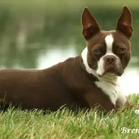 processed/b273cad6-38c4-44d9-a9c3-2a513c64d050/facility/eb369195-df3e-4286-b7aa-e4911b1608ab