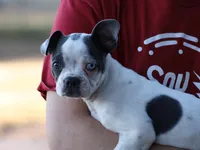 processed/b273cad6-38c4-44d9-a9c3-2a513c64d050/listing/35750462-27aa-4cfd-99e5-bded234f8510/4caee33d-07ff-46f6-aa2f-7333d0eb5063