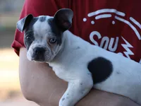 processed/b273cad6-38c4-44d9-a9c3-2a513c64d050/listing/35750462-27aa-4cfd-99e5-bded234f8510/9beb2cb2-4d87-4f3e-b592-ab99e517bf1a