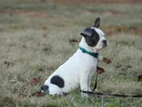 processed/b273cad6-38c4-44d9-a9c3-2a513c64d050/listing/35750462-27aa-4cfd-99e5-bded234f8510/9d1cd894-f8a7-49e6-bcb5-1f7f07a30c2e