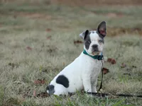 processed/b273cad6-38c4-44d9-a9c3-2a513c64d050/listing/35750462-27aa-4cfd-99e5-bded234f8510/a9d9bf07-c6d5-41c2-9c28-1025f7fcbdab