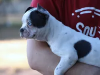 processed/b273cad6-38c4-44d9-a9c3-2a513c64d050/listing/35750462-27aa-4cfd-99e5-bded234f8510/b1ac8b80-cb55-4773-93e6-64df33cb95ef