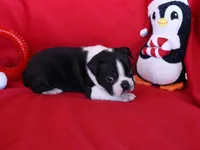 processed/b273cad6-38c4-44d9-a9c3-2a513c64d050/listing/526e6b88-1ce8-43ad-8fde-640a24b48327/8f108ac4-5d94-4889-bea1-b5006cf18a73