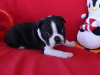 processed/b273cad6-38c4-44d9-a9c3-2a513c64d050/listing/526e6b88-1ce8-43ad-8fde-640a24b48327/a749f313-19d2-4eab-bfdc-c2694c2d7f9f