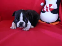 processed/b273cad6-38c4-44d9-a9c3-2a513c64d050/listing/526e6b88-1ce8-43ad-8fde-640a24b48327/a926ce0c-d9cd-496b-9795-97ad3239a811