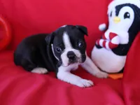 processed/b273cad6-38c4-44d9-a9c3-2a513c64d050/listing/526e6b88-1ce8-43ad-8fde-640a24b48327/e0ce8dc1-b606-40c3-b495-363d5c43b5c2