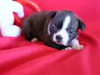 processed/b273cad6-38c4-44d9-a9c3-2a513c64d050/listing/56ef07e5-227d-4c5f-91b2-dd150e321991/034c3f27-ff9d-4415-b840-63cd00165cd6