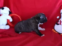 processed/b273cad6-38c4-44d9-a9c3-2a513c64d050/listing/56ef07e5-227d-4c5f-91b2-dd150e321991/62139870-811c-46ba-aa52-9c62650578e3