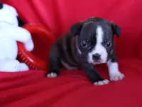 processed/b273cad6-38c4-44d9-a9c3-2a513c64d050/listing/56ef07e5-227d-4c5f-91b2-dd150e321991/eecc9cf6-9d0f-4cb5-aa59-5a2520b02392