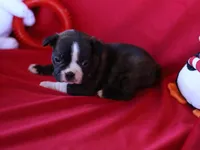 processed/b273cad6-38c4-44d9-a9c3-2a513c64d050/listing/56ef07e5-227d-4c5f-91b2-dd150e321991/fbee92d4-6c92-4edf-b69c-79b4c07157db