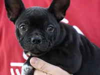 processed/b273cad6-38c4-44d9-a9c3-2a513c64d050/listing/ca6956e6-2789-4349-9376-0aa7cf900101/b1494b90-89b4-4ad2-b7f2-c22c57b02082