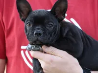 processed/b273cad6-38c4-44d9-a9c3-2a513c64d050/listing/ca6956e6-2789-4349-9376-0aa7cf900101/f07f5af0-804d-40ec-9866-ab00ac0966b6