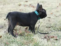 processed/b273cad6-38c4-44d9-a9c3-2a513c64d050/listing/ca6956e6-2789-4349-9376-0aa7cf900101/f740e394-52c0-4805-8275-6df25cea13c7