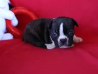 processed/b273cad6-38c4-44d9-a9c3-2a513c64d050/listing/cbbae595-301d-471b-b1a4-990b9107c453/40d354a9-7408-411f-a71d-cbfd69854ae4