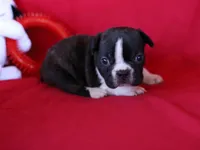 processed/b273cad6-38c4-44d9-a9c3-2a513c64d050/listing/cbbae595-301d-471b-b1a4-990b9107c453/dea279f7-8835-4d36-9978-8560f5bec021