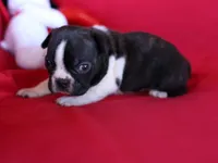 processed/b273cad6-38c4-44d9-a9c3-2a513c64d050/listing/cbbae595-301d-471b-b1a4-990b9107c453/e03903fe-4e1e-4d4f-b95f-6fa00361068c