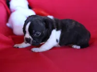 processed/b273cad6-38c4-44d9-a9c3-2a513c64d050/listing/cbbae595-301d-471b-b1a4-990b9107c453/e82c516e-25d2-4b91-8fe9-9293e13578aa