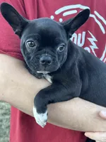 processed/b273cad6-38c4-44d9-a9c3-2a513c64d050/listing/d5c88e35-e7c8-4e2b-a880-327689e21ada/249daf8d-34df-42f7-ba4f-69d8c17ce8bd