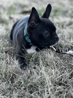 processed/b273cad6-38c4-44d9-a9c3-2a513c64d050/listing/d5c88e35-e7c8-4e2b-a880-327689e21ada/2e9cf2b0-3e86-40e8-8ecb-3efc21947430