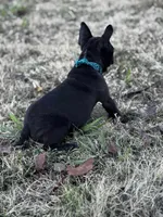 processed/b273cad6-38c4-44d9-a9c3-2a513c64d050/listing/d5c88e35-e7c8-4e2b-a880-327689e21ada/8e6dda2e-006b-4da2-950a-648cd8bf7fa8