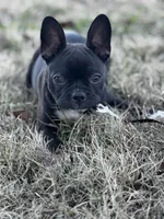 processed/b273cad6-38c4-44d9-a9c3-2a513c64d050/listing/d5c88e35-e7c8-4e2b-a880-327689e21ada/d477689b-05e0-4dfb-b242-afa4aaed7e63